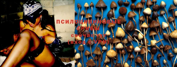 амф Бугульма