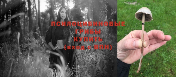 амф Бугульма